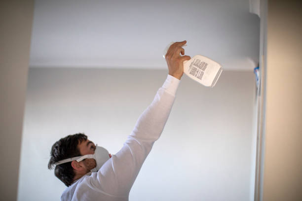 Best DIY Mold Remediation Support Services in Parklawn, CA