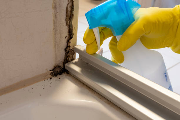 Best Mold Remediation for Specific Building Types in Parklawn, CA